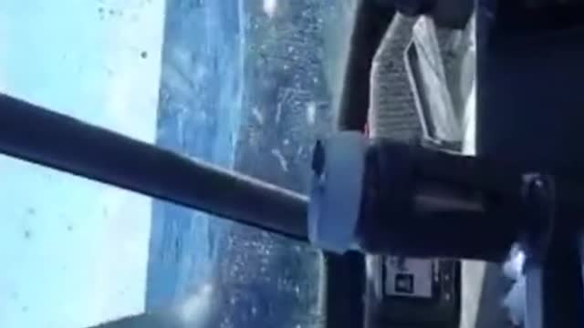 Mako shark launches itself onto a fishing boat