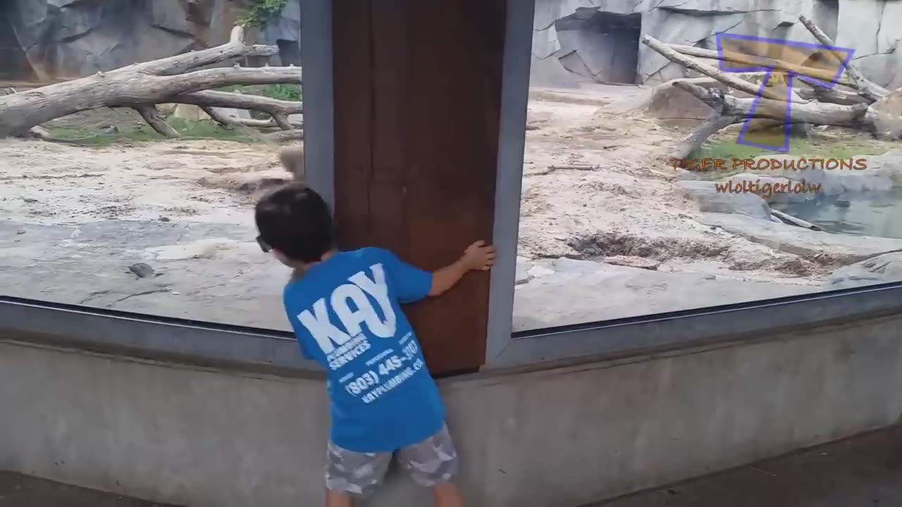 FORGET CATS! Funny KIDS vs ZOO ANIMALS are WAY FUNNIER! - TRY NOT TO LAUGH