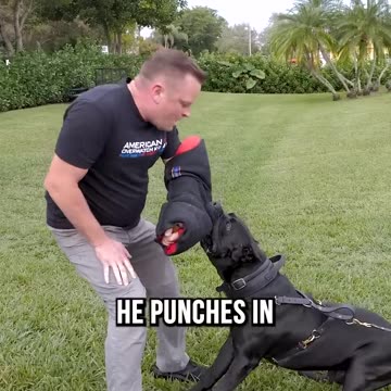 The World's Thinnest Bite Sleeve!