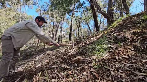 Working & Metal Detecting a Gold Ore Body