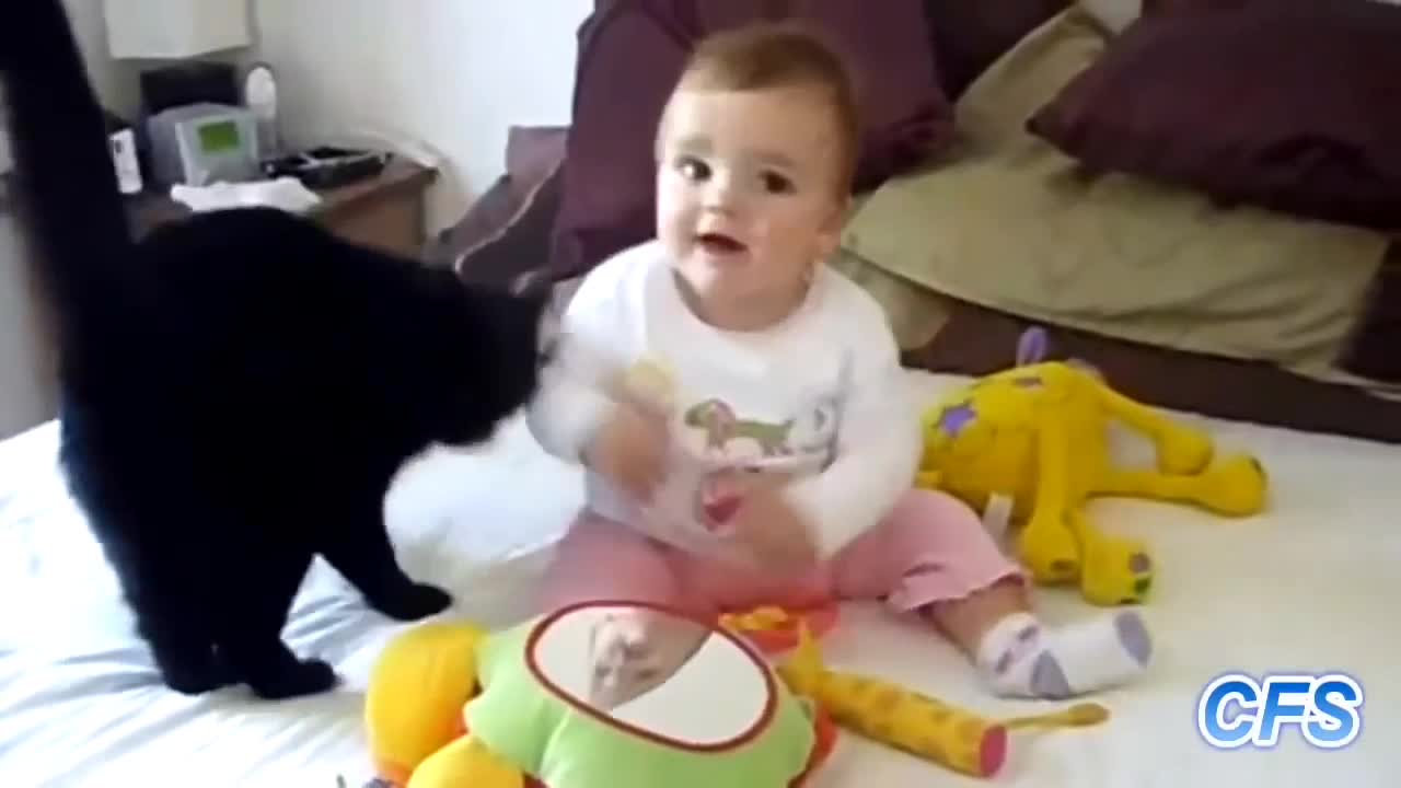 baby and cats funny videos 2021-cats and baby sensory videos-cat small baby videos