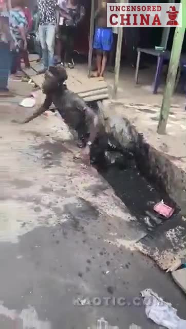 The synthetic drug 'Flacca ' manufactured in communist China is making its way into Japan."