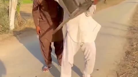 Kesay kesay pagal log hn yhan