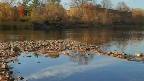 autumn water