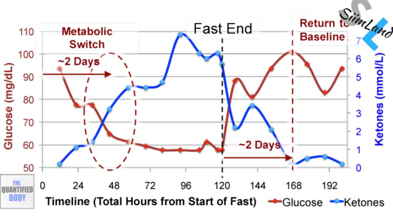 The Easiest Way to Get Into Ketosis and Lose Weight