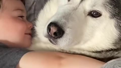 The Full 4 Year Story Of My Husky & Baby Becoming Best Friends