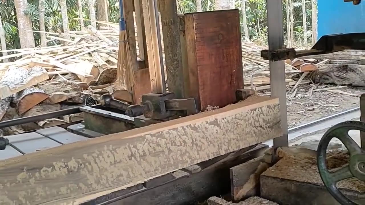 Waste Teak Wood Still Useful Wood Display Process in Sawmill Sawmill