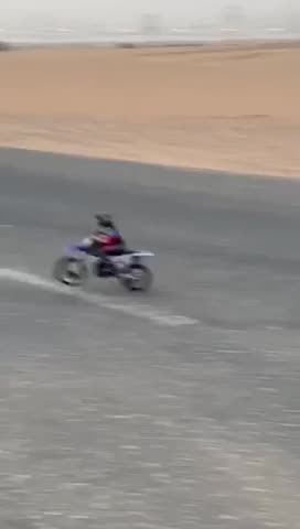 I want such a toy!😜