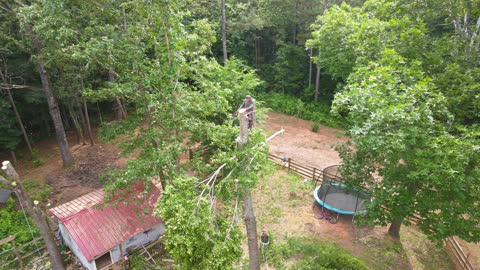 KaraBand House Remodel Tree And Roof June 2022