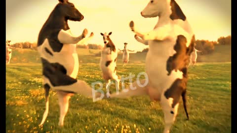 FUNNY COW DANCE │ Cow Song & Cow Videos