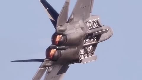 How's F22 raptor bomb bay looks like