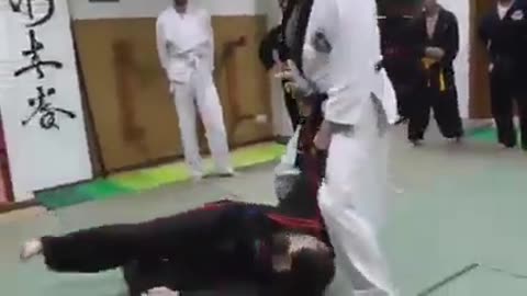 Hapkido