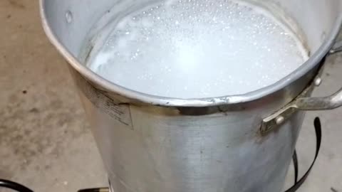 Making Maple Syrup