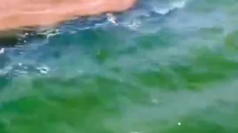 Place where two ocean meet