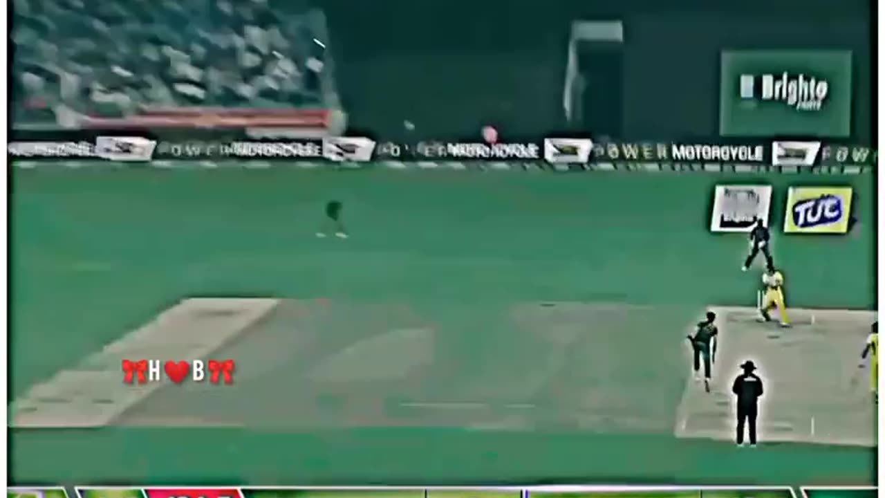 Shaheeen Afridi on fire