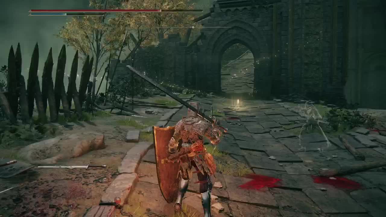 Elden Ring Crusader Edition.