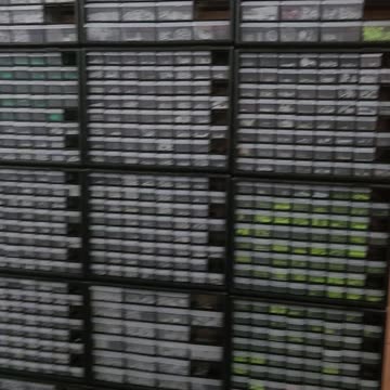 Shop Update 08-28-2023 Shorts