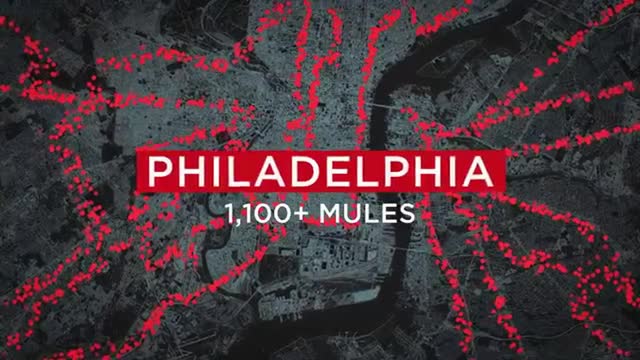 [2000 Mules] Philly Had >1k Mules Visiting an Avg of 50 Drop Boxes/Day/Mule