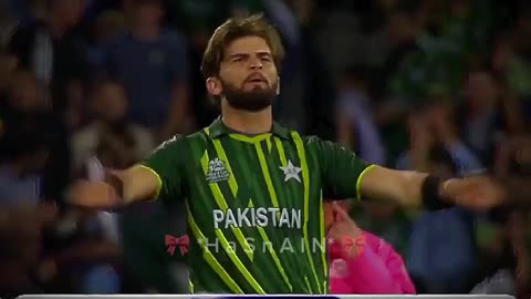 For cricket lovers