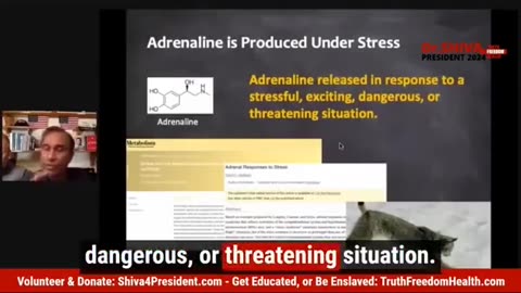 Is ADRENOchrome REAL?