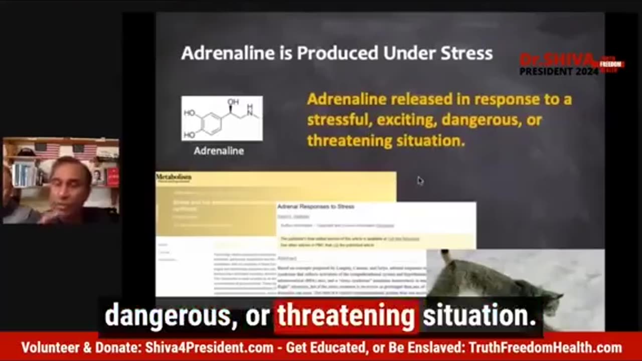 Is ADRENOchrome REAL?