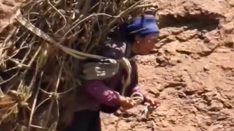 Cuộc sống vùng cao #15 _ Ông Bà lưng còng _ Clip cảm động _ Touching clip