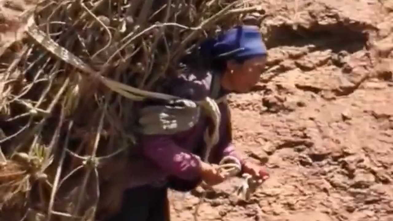 Cuộc sống vùng cao #15 _ Ông Bà lưng còng _ Clip cảm động _ Touching clip