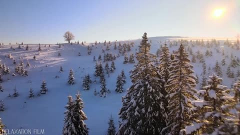 Snow Winter 4K Relaxation Film Meditation