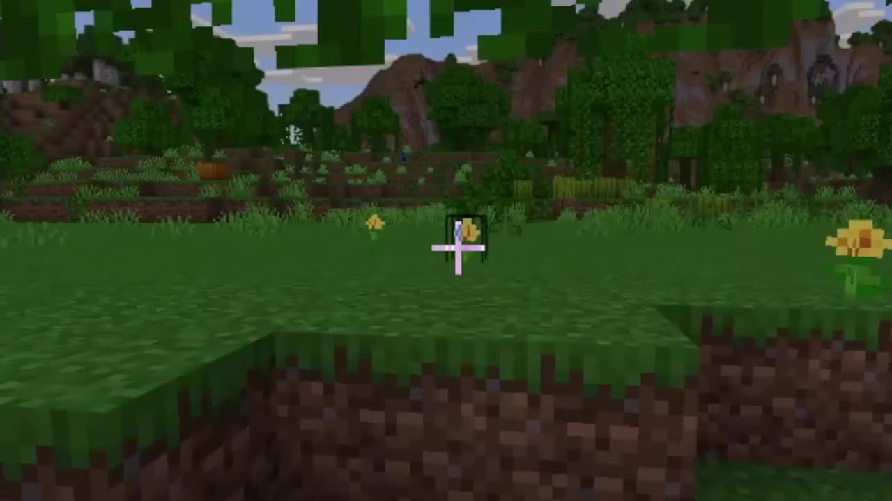 "We're saved!" Minecraft