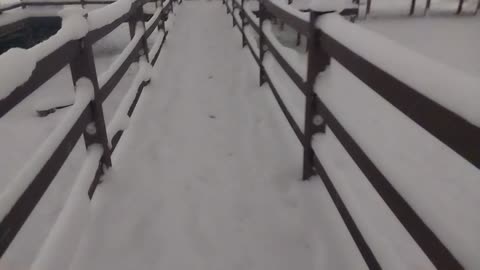 Heavy SNOW in KOREA city park