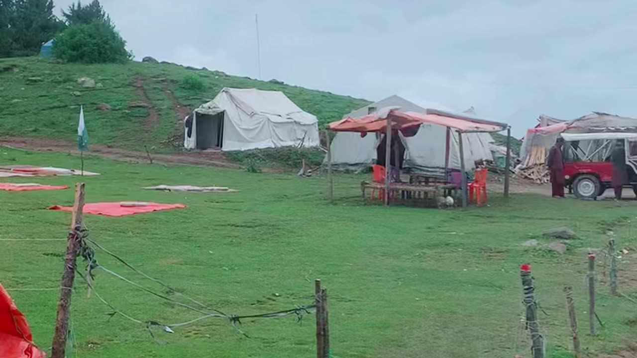 Love of Nature