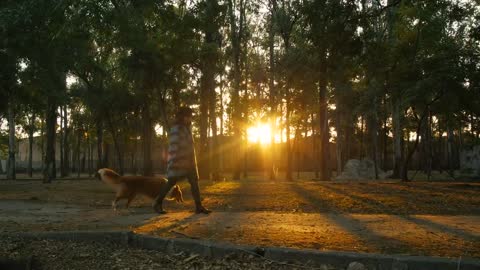 A woman walks through a park with a dog