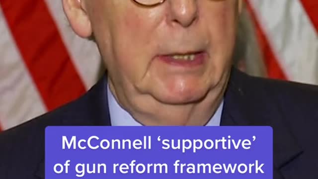 McConnell 'supportive' of gun reform framework