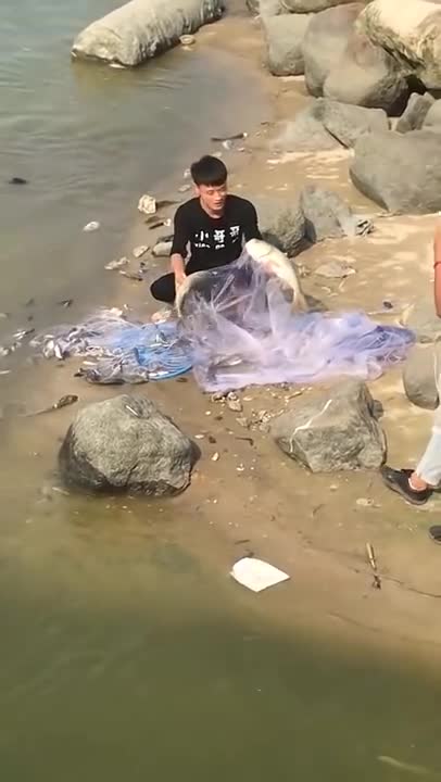 Amazing Asian Cast Net Fishing 🐟 | Amazing Fishing Techniques 🐟