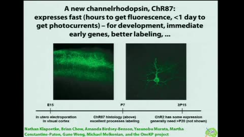 Case Western Eserv University: Optogenetics and Other Tools For Analyzing and Engineering Neural Circuits (2012)