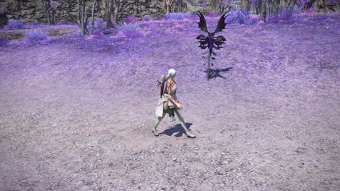 Why are elezen so rare?