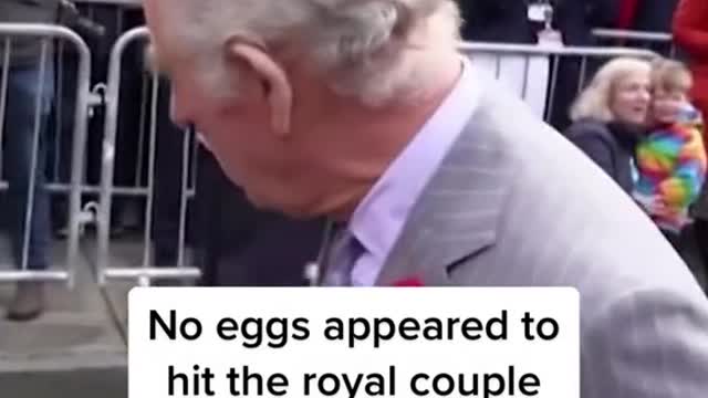 A protester threw eggs at King Charles Ill andQueen Camilla