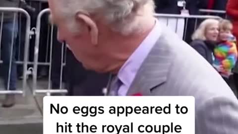 A protester threw eggs at King Charles Ill andQueen Camilla