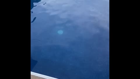 BasicHowTo - Check Pool Chemicals