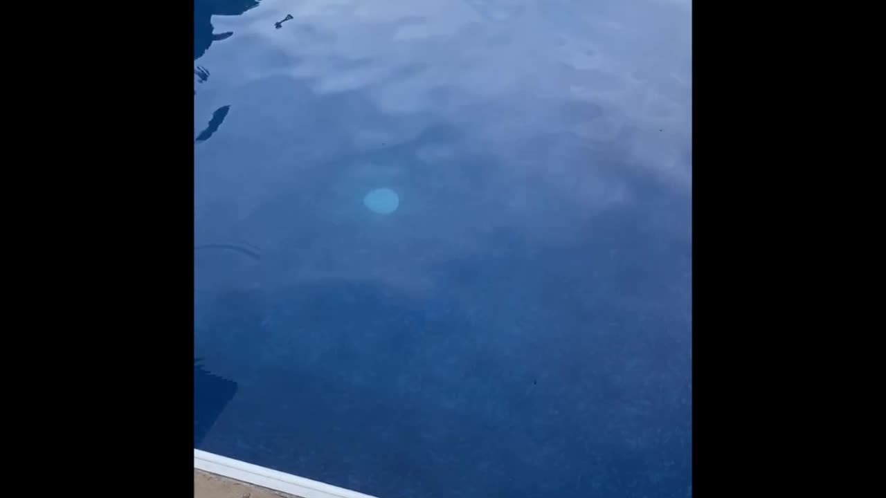 BasicHowTo - Check Pool Chemicals