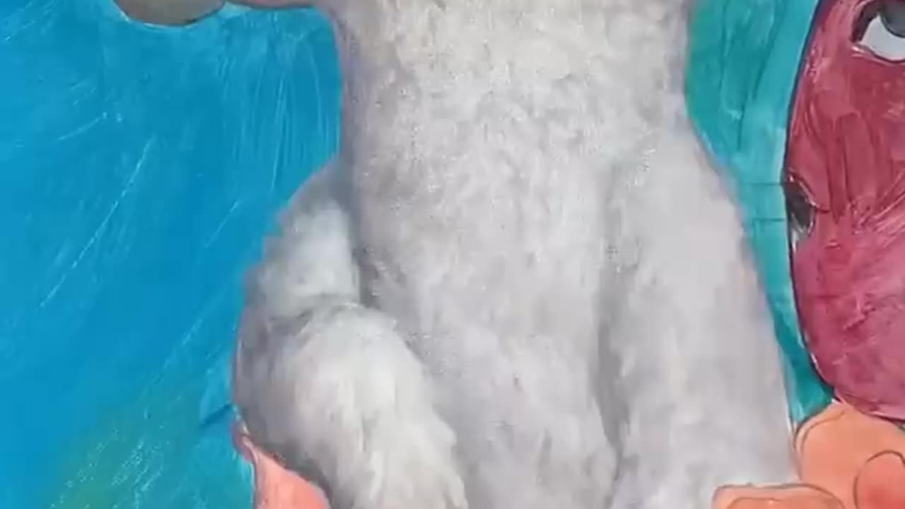 Amazing Art color
