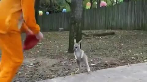 Love Knows No Bounds #shorts #shortsvideo #video #viral