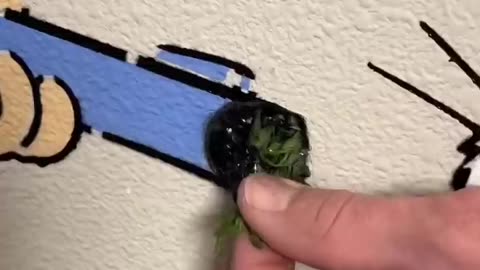 Why you should hide a carrot in your wall 🥕