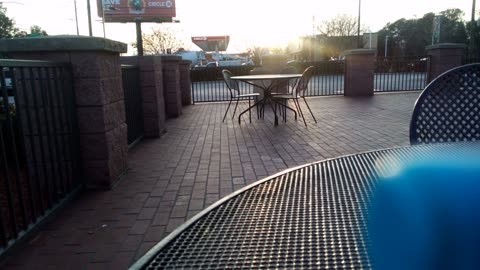 (CHARAGMA * MOTB) ELON MUSK NEURLINK MICROCHIP IMPLANT MAGOT ON THE BRAIN 🧠