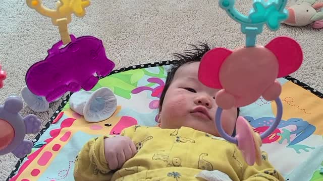 80 days baby toy tuk tuk touch play