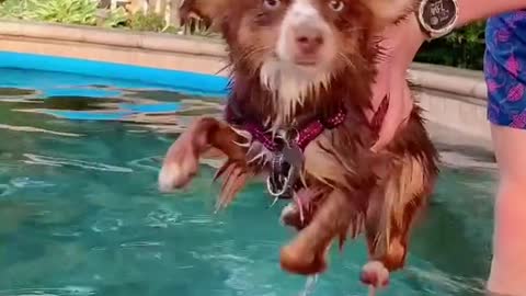 It looks questionable to me