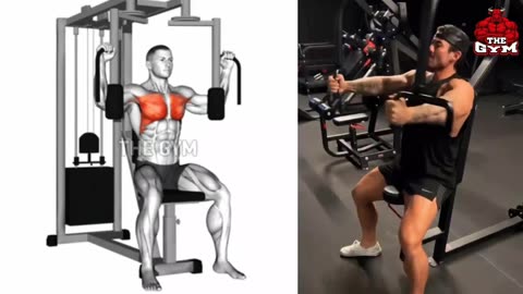 Chest Huge Workout at Gym