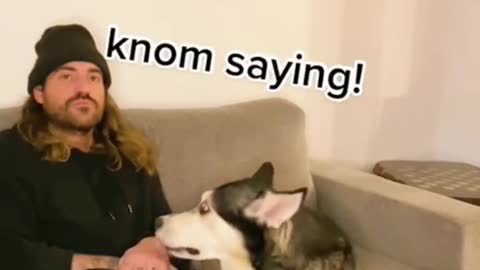 Cute Dog
