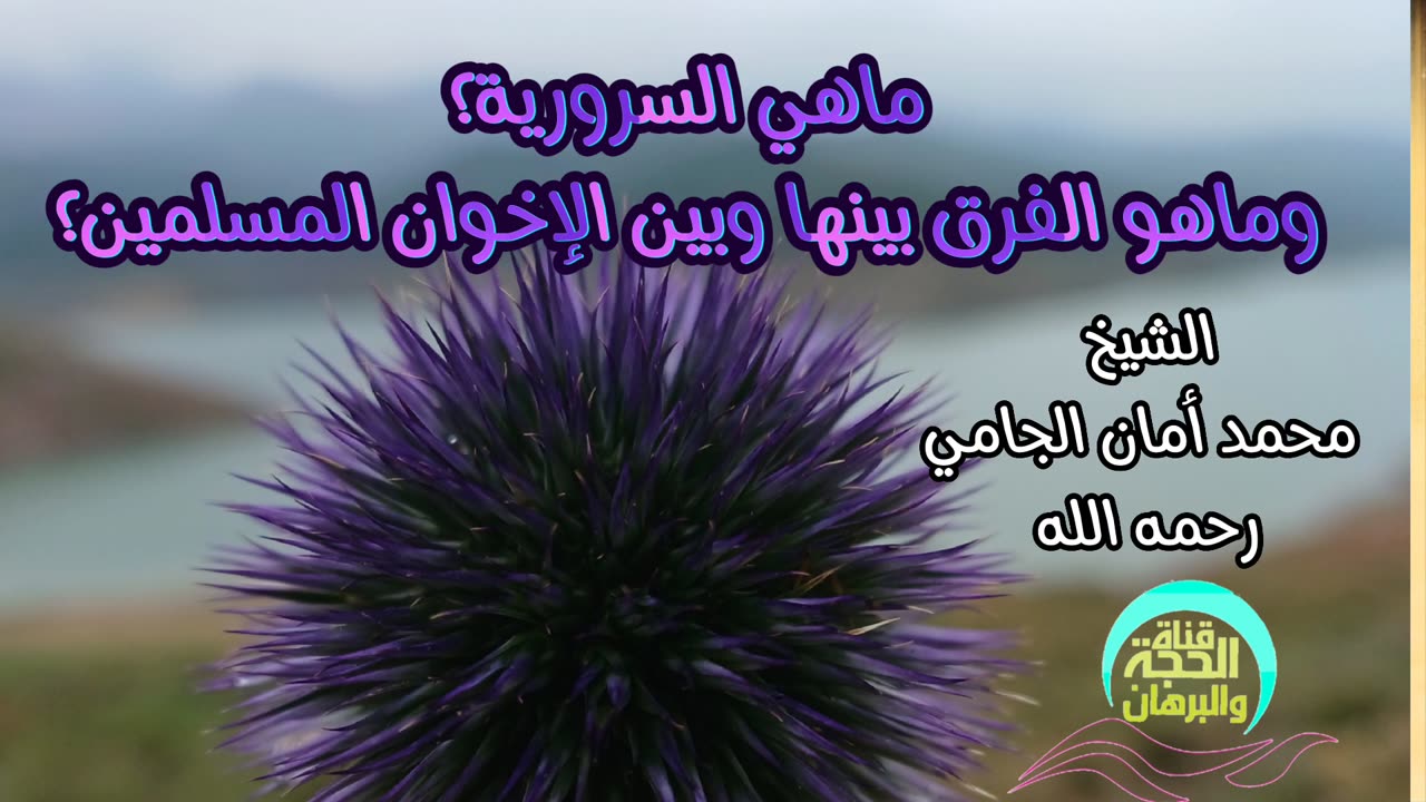 ماهي السرورية؟ وماهو الفرق بينها وبين الإخوان المسلمين؟ الشيخ محمد أمان الجامي رحمه الله.