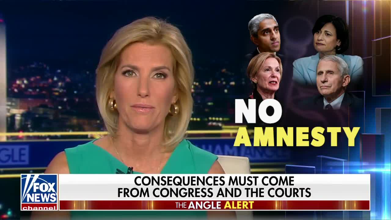 No Amnesty for what was done to us all Ingram Angle